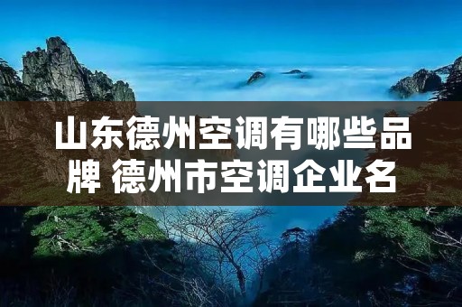 山东德州空调有哪些品牌 德州市空调企业名单