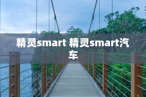 精灵smart 精灵smart汽车