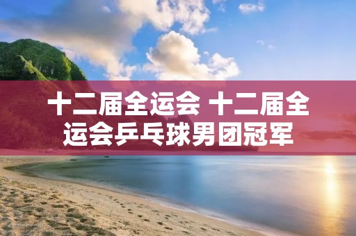 十二届全运会 十二届全运会乒乓球男团冠军