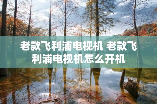 老款飞利浦电视机 老款飞利浦电视机怎么开机