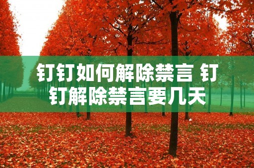 钉钉如何解除禁言 钉钉解除禁言要几天