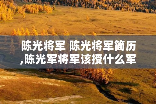 陈光将军 陈光将军简历,陈光军将军该授什么军衔