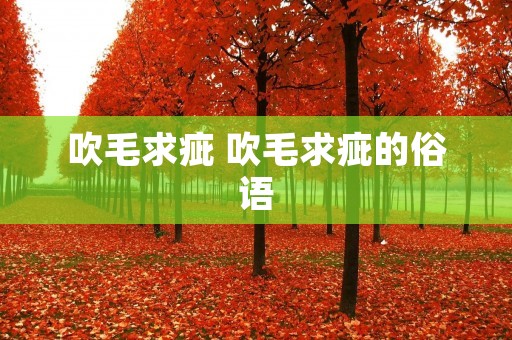吹毛求疵 吹毛求疵的俗语