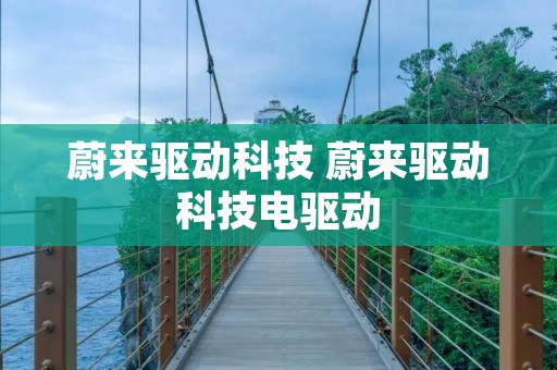 蔚来驱动科技 蔚来驱动科技电驱动