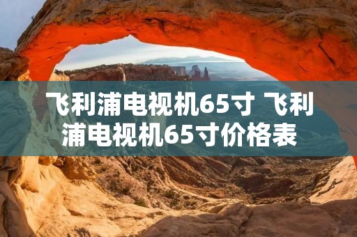 飞利浦电视机65寸 飞利浦电视机65寸价格表