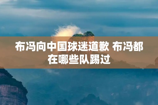 布冯向中国球迷道歉 布冯都在哪些队踢过