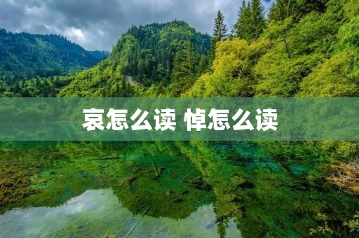 哀怎么读 悼怎么读