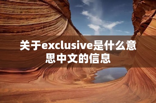 关于exclusive是什么意思中文的信息