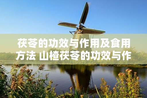 茯苓的功效与作用及食用方法 山楂茯苓的功效与作用及食用方法