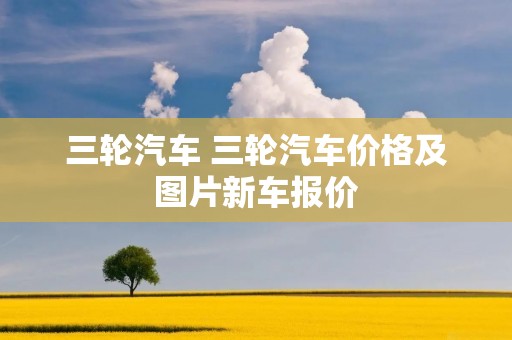 三轮汽车 三轮汽车价格及图片新车报价 三轮汽车 三轮汽车价格及图片新车报价