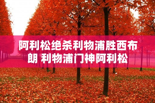 阿利松绝杀利物浦胜西布朗 利物浦门神阿利松