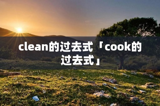 clean的过去式「cook的过去式」