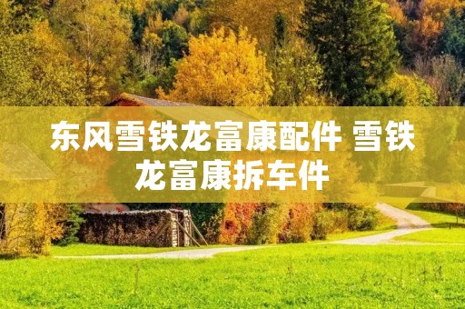 东风雪铁龙富康配件 雪铁龙富康拆车件 东风雪铁龙富康配件 雪铁龙富康拆车件