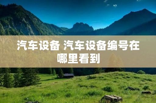 汽车设备 汽车设备编号在哪里看到 汽车设备 汽车设备编号在哪里看到