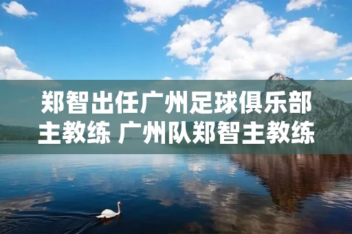 郑智出任广州足球俱乐部主教练 广州队郑智主教练 郑智出任广州足球俱乐部主教练 广州队郑智主教练