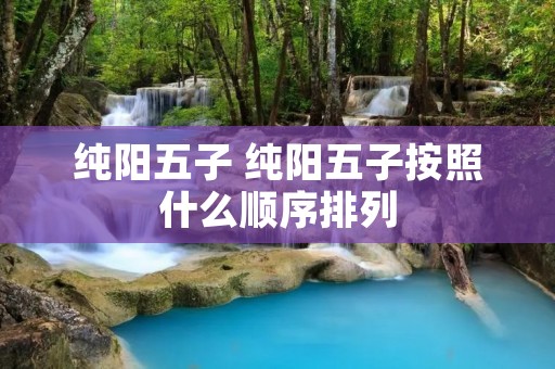 纯阳五子 纯阳五子按照什么顺序排列