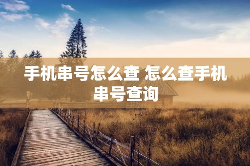 手机串号怎么查 怎么查手机串号查询
