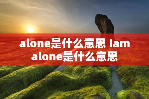 alone是什么意思 Iamalone是什么意思