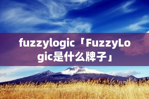 fuzzylogic「FuzzyLogic是什么牌子」 fuzzylogic「FuzzyLogic是什么牌子」