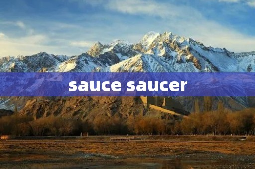 sauce saucer sauce saucer