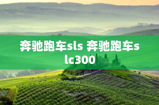 奔驰跑车sls 奔驰跑车slc300 奔驰跑车sls 奔驰跑车slc300