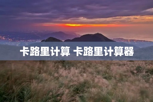 卡路里计算 卡路里计算器 卡路里计算 卡路里计算器