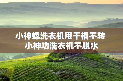 小神螺洗衣机甩干桶不转 小神功洗衣机不脱水 小神螺洗衣机甩干桶不转 小神功洗衣机不脱水