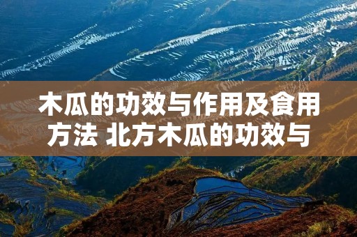 木瓜的功效与作用及食用方法 北方木瓜的功效与作用及食用方法