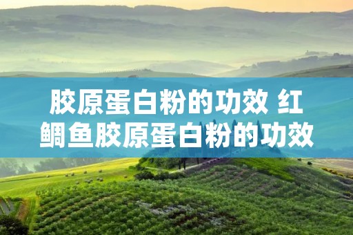 胶原蛋白粉的功效 红鲷鱼胶原蛋白粉的功效
