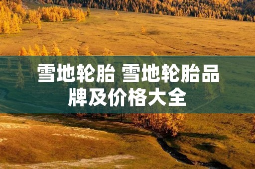 雪地轮胎 雪地轮胎品牌及价格大全 雪地轮胎 雪地轮胎品牌及价格大全