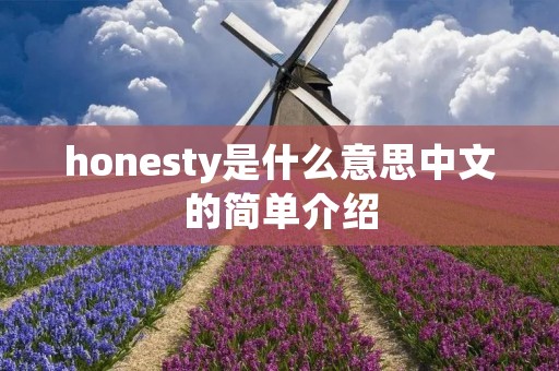 honesty是什么意思中文的简单介绍