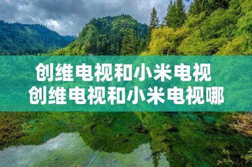创维电视和小米电视 创维电视和小米电视哪个好一些 创维电视和小米电视 创维电视和小米电视哪个好一些