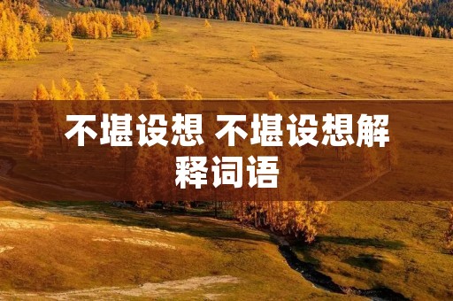 不堪设想 不堪设想解释词语