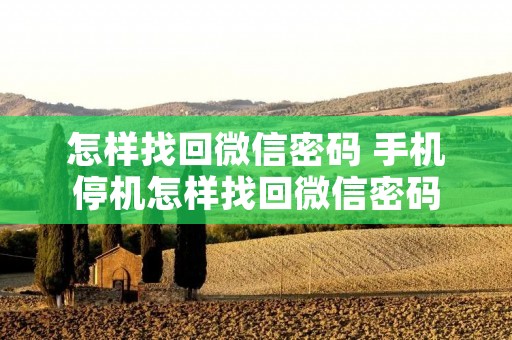 怎样找回微信密码 手机停机怎样找回微信密码 怎样找回微信密码 手机停机怎样找回微信密码