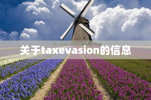 关于taxevasion的信息 关于taxevasion的信息