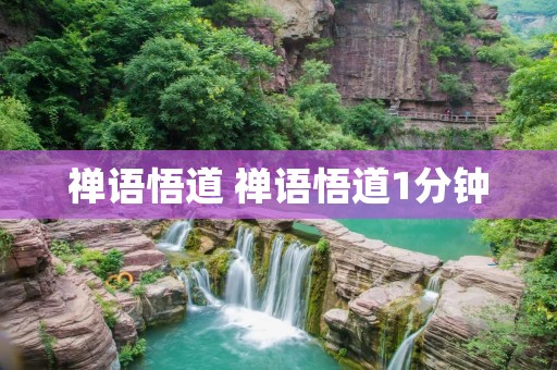 禅语悟道 禅语悟道1分钟