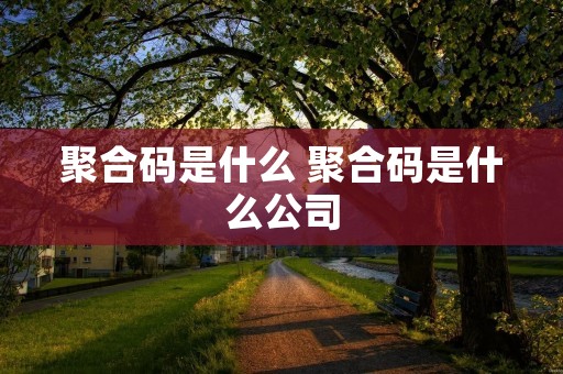 聚合码是什么 聚合码是什么公司