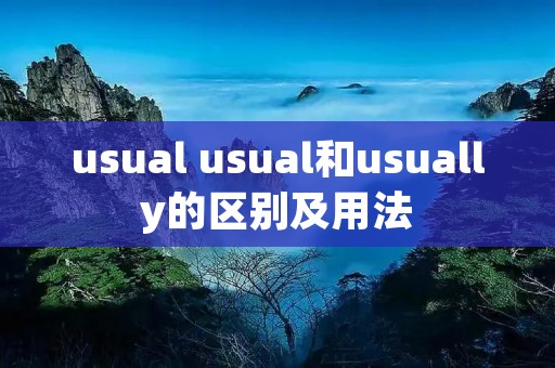 usual usual和usually的区别及用法