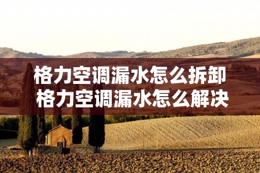 格力空调漏水怎么拆卸 格力空调漏水怎么解决内机漏水维修视频