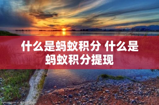 什么是蚂蚁积分 什么是蚂蚁积分提现 什么是蚂蚁积分 什么是蚂蚁积分提现