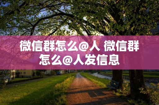 微信群怎么@人 微信群怎么@人发信息