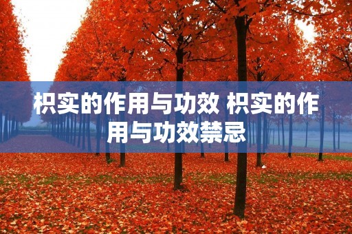 枳实的作用与功效 枳实的作用与功效禁忌