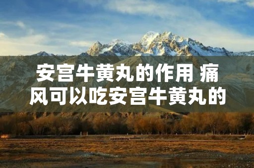 安宫牛黄丸的作用 痛风可以吃安宫牛黄丸的作用 安宫牛黄丸的作用 痛风可以吃安宫牛黄丸的作用