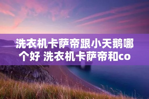 洗衣机卡萨帝跟小天鹅哪个好 洗衣机卡萨帝和colmo