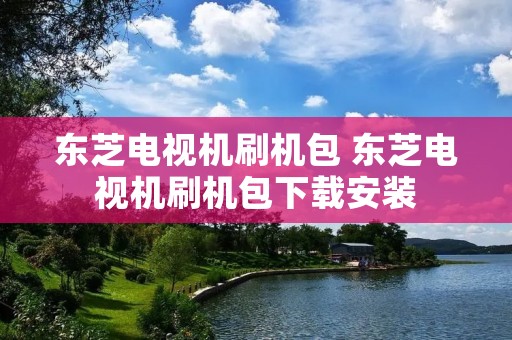 东芝电视机刷机包 东芝电视机刷机包下载安装