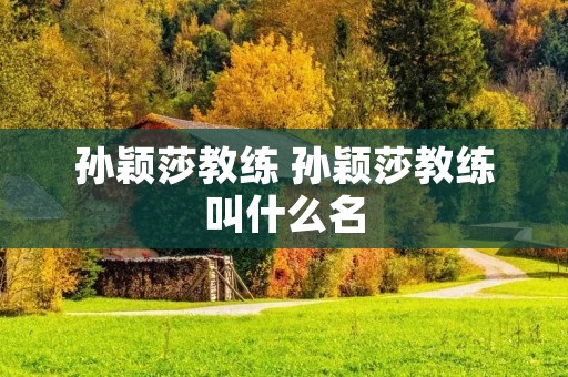 孙颖莎教练 孙颖莎教练叫什么名