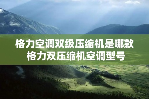 格力空调双级压缩机是哪款 格力双压缩机空调型号 格力空调双级压缩机是哪款 格力双压缩机空调型号
