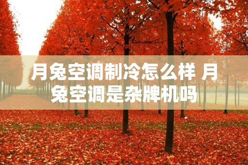 月兔空调制冷怎么样 月兔空调是杂牌机吗 月兔空调制冷怎么样 月兔空调是杂牌机吗