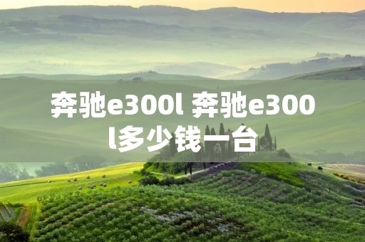 奔驰e300l 奔驰e300l多少钱一台