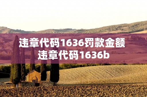 违章代码1636罚款金额 违章代码1636b 违章代码1636罚款金额 违章代码1636b
